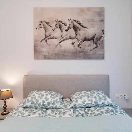 Sun Sonata 1 Апартаменты Друскининкай