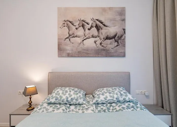 Sun Sonata 1 Daire Druskininkai